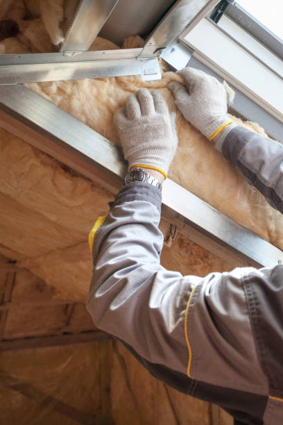 Best Energy Efficiency Insulation in Emmetsburg, IA